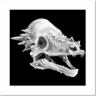 Pachycephalosaurus skull Posters and Art